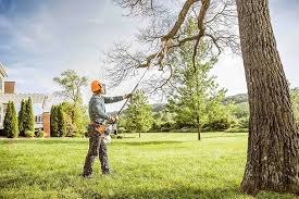 Best Firewood Processing and Delivery  in Donald, OR